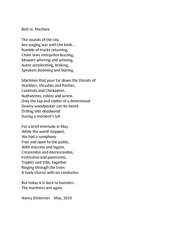 Bird war poem.pdf