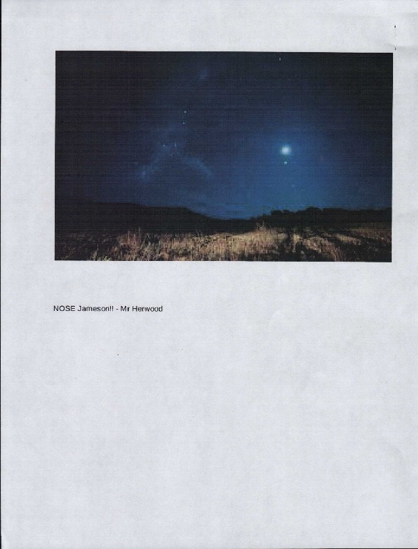 Nose Jameson - Brock Withey.pdf