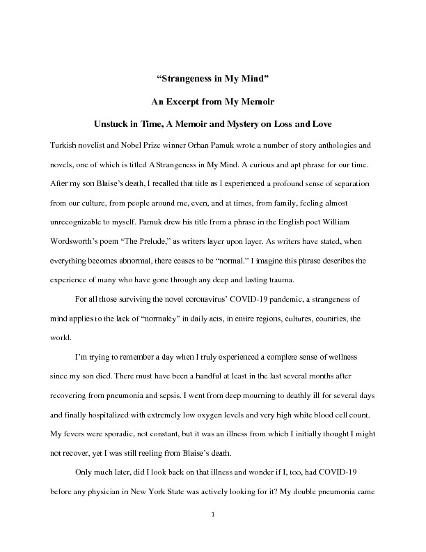 Strangeness in My Mind essay.pdf