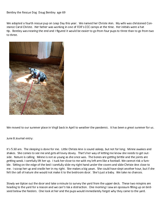 Doug Bentley  Bentley the Rescue Dog.pdf