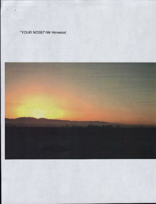 Your Nose! - Lucas Narrow.pdf