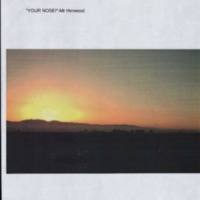 Your Nose! - Lucas Narrow.pdf